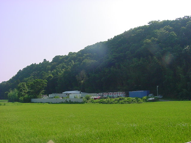 ������Ѝ��q�Y��